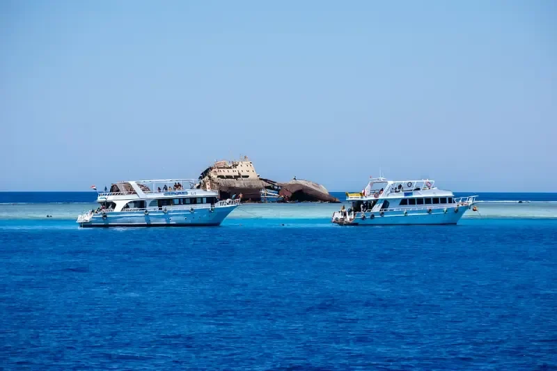 Snorkeling all'isola di Tiran da Sharm